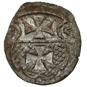 Sigismund II Augustus, Elblag denarius 1555 - rare