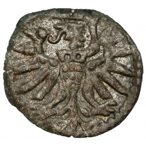 Sigismund II Augustus, Elblag denarius 1555 - rare