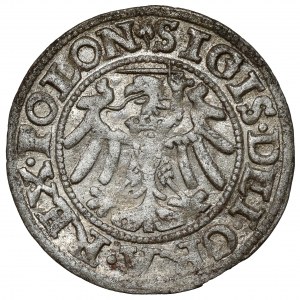 Sigismund I. der Alte, Szeląg Danzig 1547 - Dreiblatt