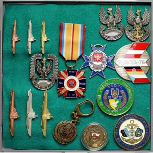 Polska od 1990 - zestaw odznak wojskowych (16szt)