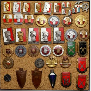People's Republic of Poland, Tray of Military Badges (45pcs)