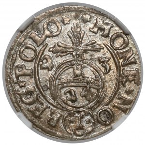Žigmund III Vaza, poltopánka Bydgoszcz 1623 - razené