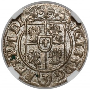 Žigmund III Vaza, poltopánka Bydgoszcz 1623 - razené