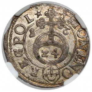 Sigismund III. Vasa, Halbspur Bydgoszcz 1616 - Sas und korrekt N