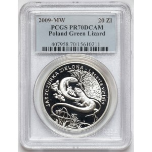 20 złotych 2009 Jaszczurka