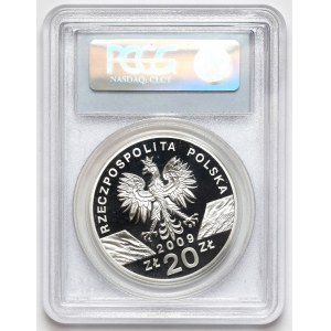 20 złotych 2009 Jaszczurka