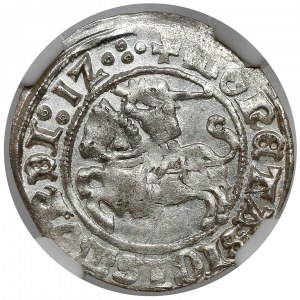 Sigismund I. der Alte, halber Pfennig Vilnius 1512 - geprägt