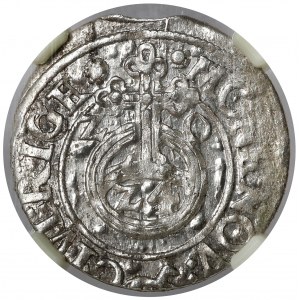 Sigismund III Vasa, Half-track Riga 1620 - Fox