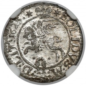 Zygmunt III Waza, Szeląg Wilno 1623 - piękny