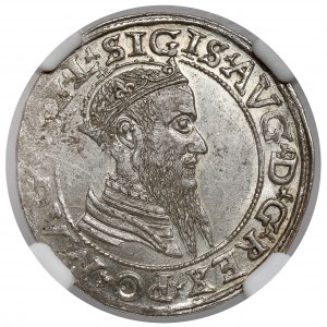 Sigismund II. Augustus, Vierfacher Vilnius 1566