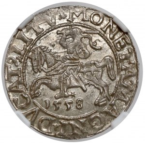 Sigismund II Augustus, halber Pfennig Vilnius 1558 - SCHÖN