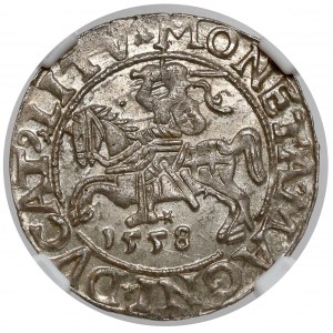 Sigismund II Augustus, Half-penny Vilnius 1558 - BEAUTIFUL