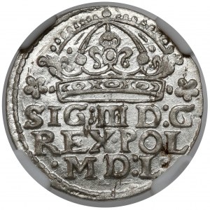 Sigismund III Vasa, Cracow 1613 penny - beautiful