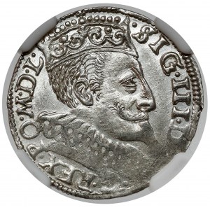 Sigismund III Vasa, Trojak Bydgoszcz 1596 - minted