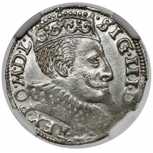Zygmunt III Waza, Trojak Bydgoszcz 1596 - menniczy