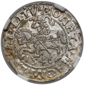 Sigismund II Augustus, Half-penny Vilnius 1546