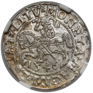 Zikmund II August, půlpenny Vilnius 1546