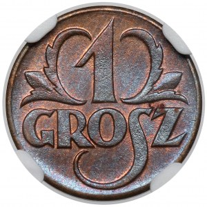 1 Pfennig 1923