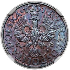 2 Pfennige 1931