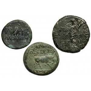 Gaius und Tiberius, Provinziale Bronzen, Satz (3 Teile)