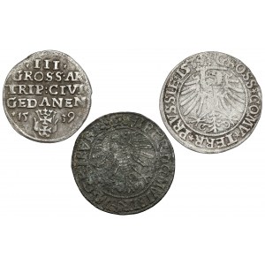 Zygmunt I Stary, Trojak i grosze, w tym falsyfikat z epoki (3szt)