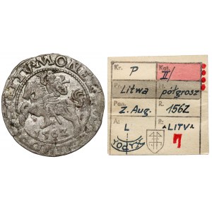 Sigismund II Augustus, halber Pfennig Vilnius 1562 - TOPOR - ex. Kalkowski