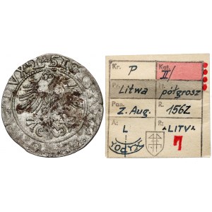 Sigismund II Augustus, halber Pfennig Vilnius 1562 - TOPOR - ex. Kalkowski