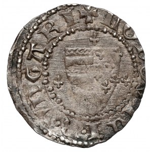 Uhersko, Ludvík I. Uherský (1342-1382) Denár