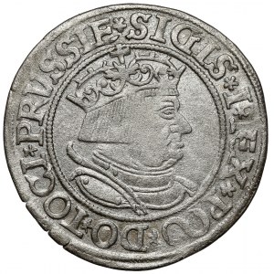 Sigismund I the Old, Torun 1534 penny - with hair