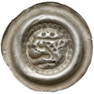 Śląsk, Brakteat szeroki - ukoronowana głowa lwa w perłowym otoku - b.rzadki