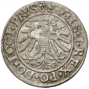 Sigismund I the Old, Penny Elblag 1533