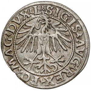 Sigismund II Augustus, Half-penny Vilnius 1549