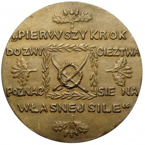 Medaille, 100. Jahrestag des Todes von Tadeusz Kościuszko 1917