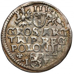 Žigmund III Vasa, Trojak Wschowa 1595