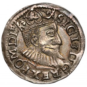 Sigismund III Vasa, Trojak Wschowa 1595