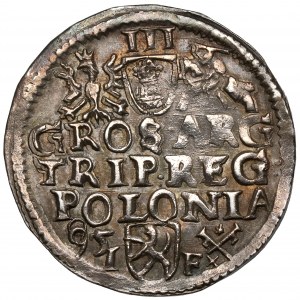 Sigismund III. Wasa, Trojak Wschowa 1595