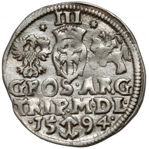 Sigismund III Vasa, Troika Vilnius 1594