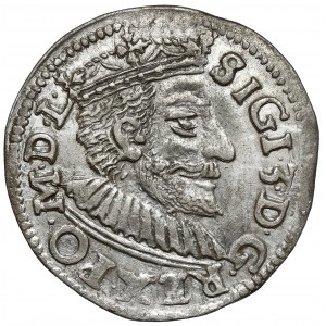 Sigismund III Vasa, Trojak Poznań 1591 - Narrow face