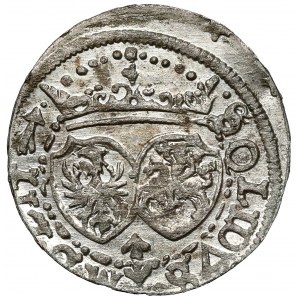 Sigismund III. Vasa, der Wilnaer Schellfisch 1617 - gemünzt