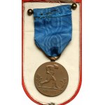 Zweite Republik, 10. Jahrestag der wiedererlangten Unabhängigkeit Medaille