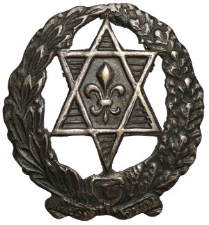 Hashomer Hacair commemorative badge [333].