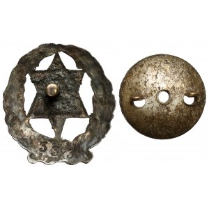 Hashomer Hacair commemorative badge [333].