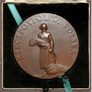 Medal, Za Pracę i Zasługę 1926 - III. klasa (brąz) - w pudełku nadaniowym