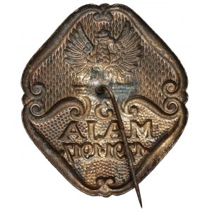 Pin, Constitution of May 3, 1917