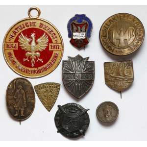 Set of commemorative and patriotic pins (9pcs)