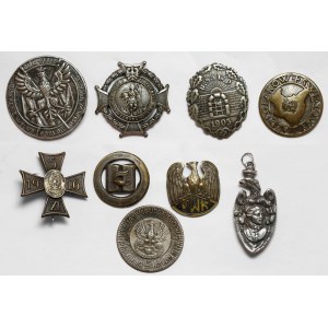 Set of pins, miniatures and token (9pcs)