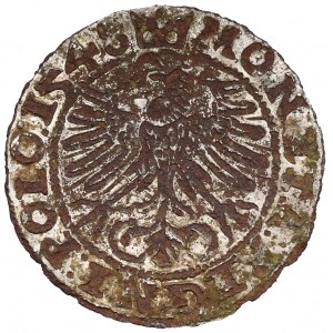 Sigismund I. der Alte, Krakauer Pfennig 1548 - zeitgenössische Fälschung