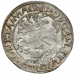 Sigismund II Augustus, Grosz per Polish foot 1566, Tykocin