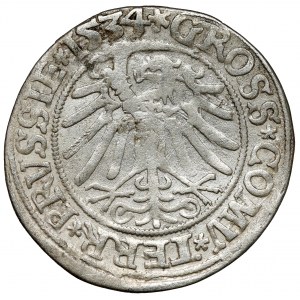 Sigismund I the Old, Torun penny 1534 - in a cap