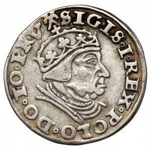 Sigismund I. der Alte, Trojak Danzig 1539 - Kreise
